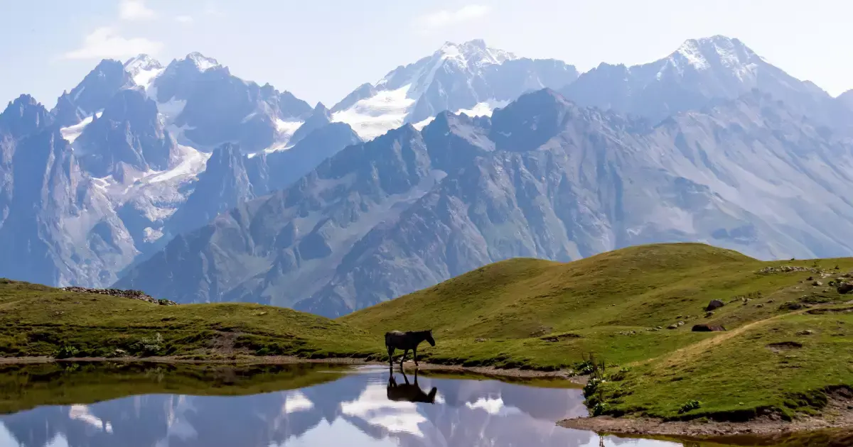 Trail with pine and dramatic Caucasus peaks